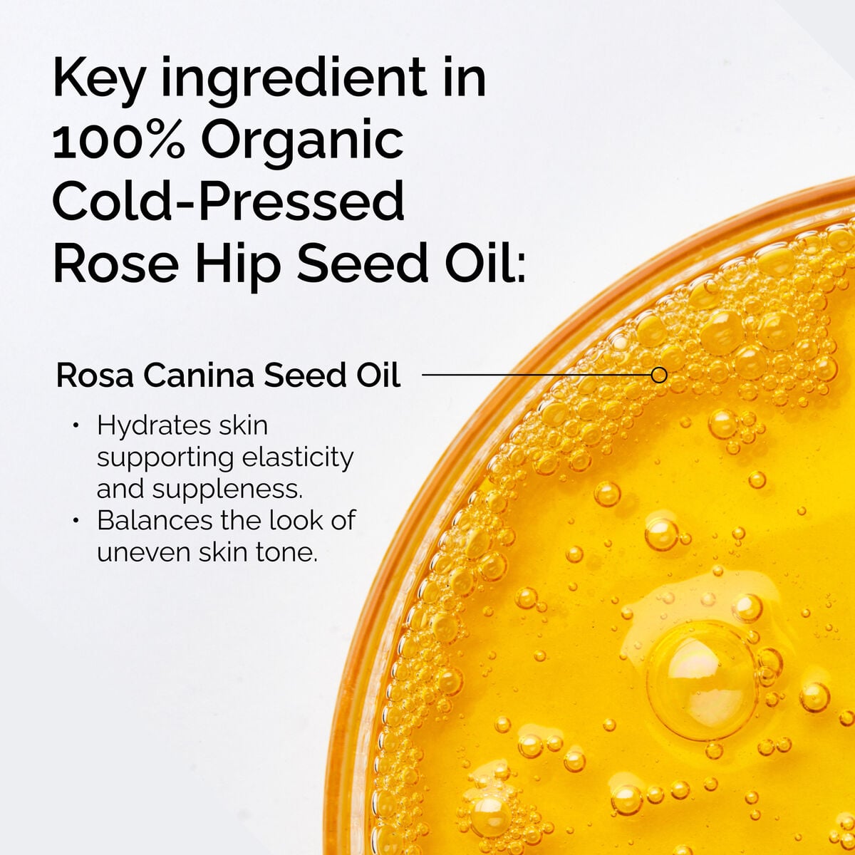 100-organic-cold-pressed-rose-hip-seed-oil-b9 FY25-D41247-ORD-Web-PDP-100-Rose-Hip-Oil-1x1-EN-2.jpg