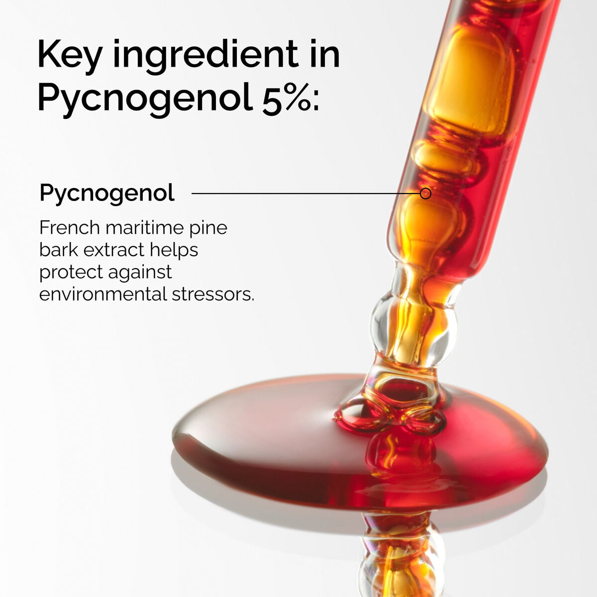 pycnogenol-5-e3 FY25-D41247-ORD-Web-PDP-Pyc-5pct-1x1-EN-2a.jpg