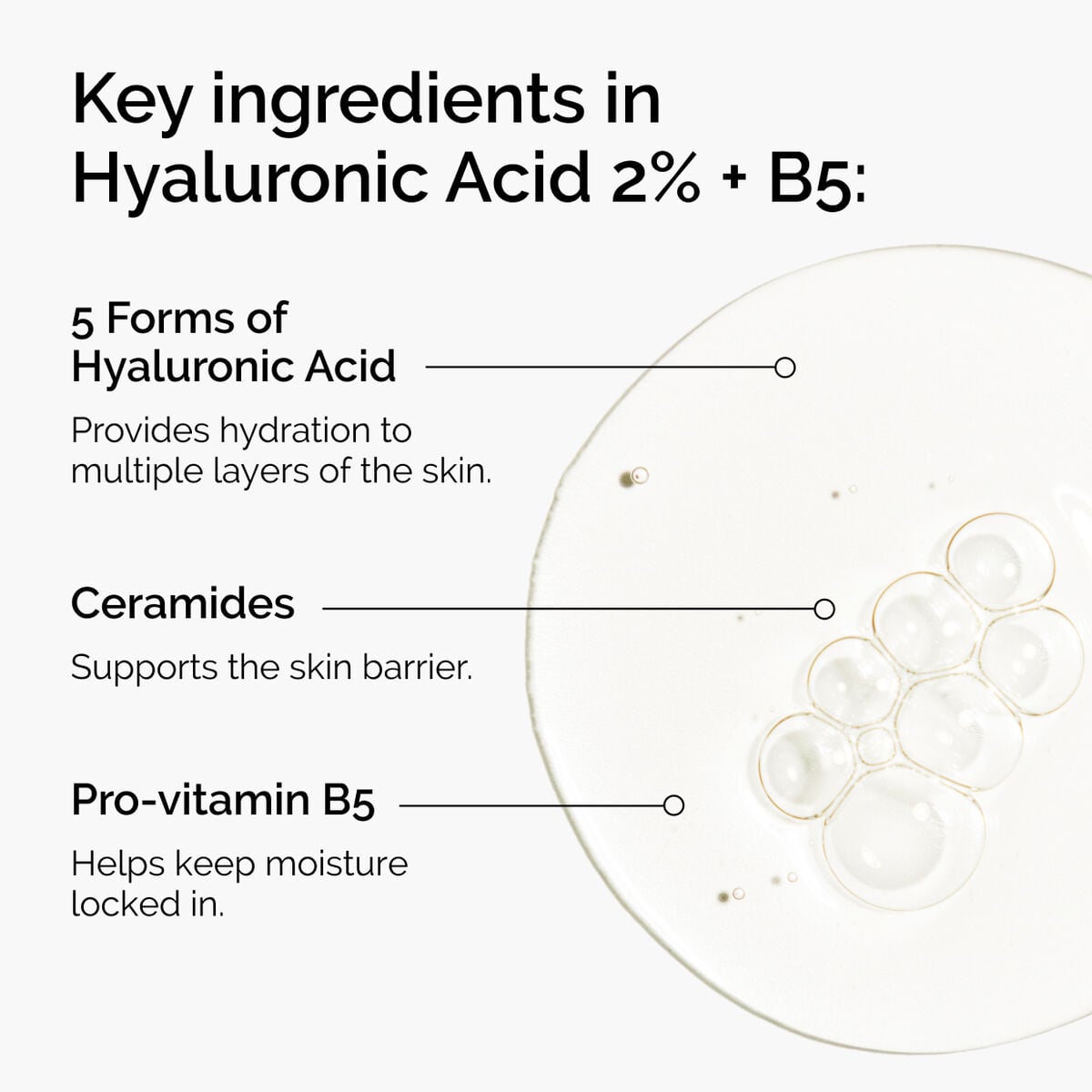 hyaluronic-acid-2-b5-with-ceramides-a0 ord-hyaluronic-acid-2pct-b5-hydrating-serum-ingredients-graphic.jpg