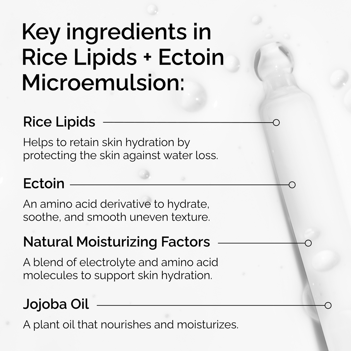 rice-lipids-ectoin-microemulsion-d5 ord-rice-lipids-ectoin-microemulsion-key-ingredients.png