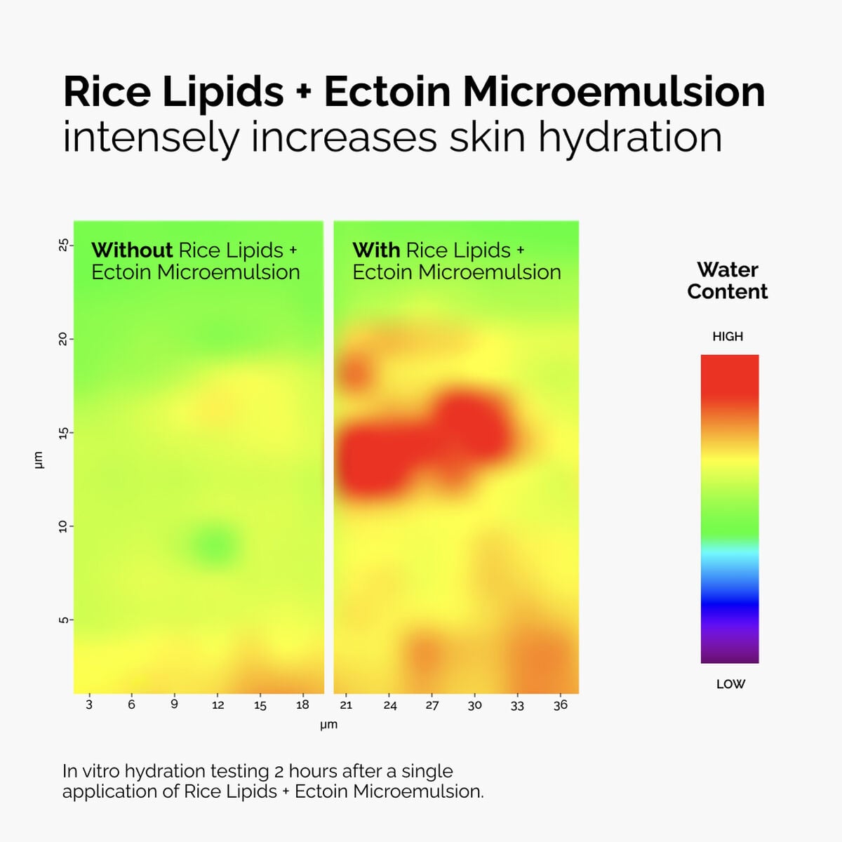 rice-lipids-ectoin-microemulsion-d5 ord-rice-lipids-ectoin-microemulsion-thermal-before-after.jpg